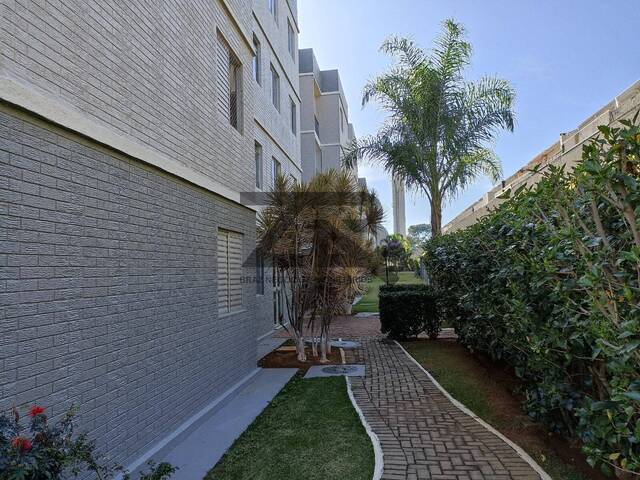 #126 - Apartamento Pronto para Morar para Venda em Campinas - SP