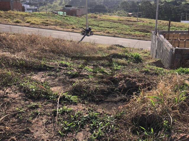 Apartamento Pronto para Morar para Venda em Campinas - 5