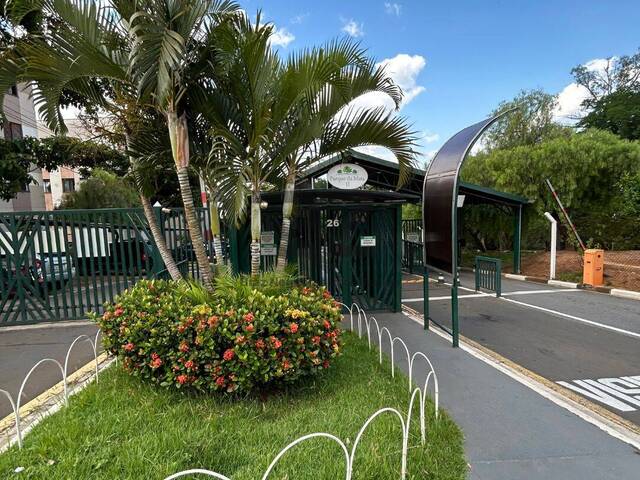 #564 - Apartamento Pronto para Morar para Venda em Campinas - SP