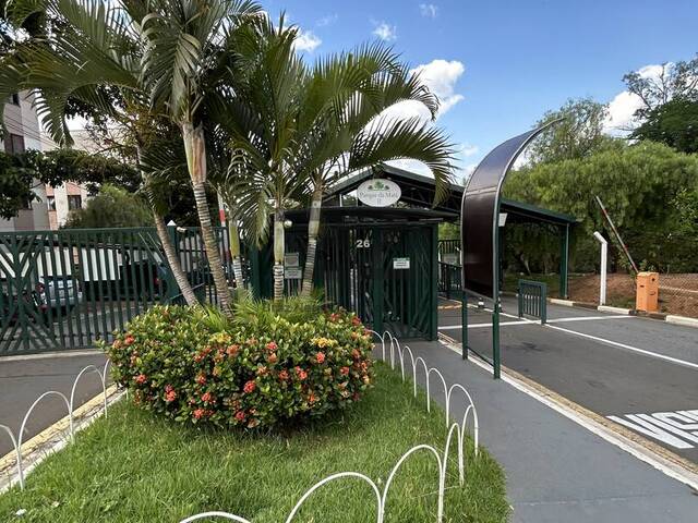 #585 - Apartamento Pronto para Morar para Venda em Campinas - SP - 1