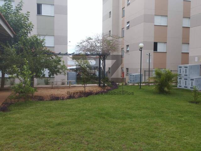 #595 - Apartamento Pronto para Morar para Venda em Campinas - SP - 3