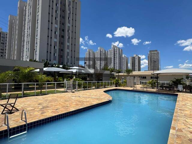 #624 - Apartamento Pronto para Morar para Venda em Hortolândia - SP - 1