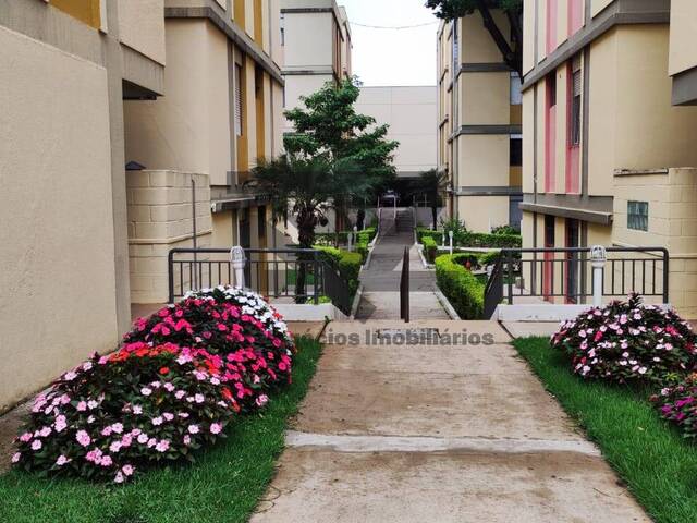 #634 - Apartamento Pronto para Morar para Venda em Campinas - SP - 1