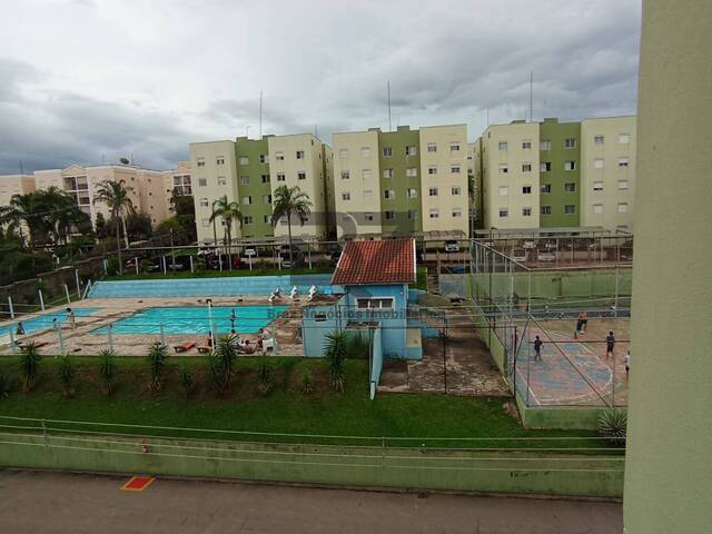 #647 - Apartamento Pronto para Morar para Venda em Campinas - SP - 1