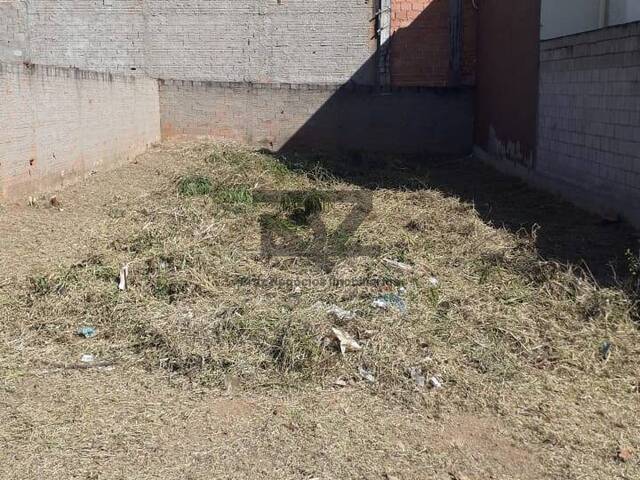 #709 - Área para Venda em Campinas - SP - 3