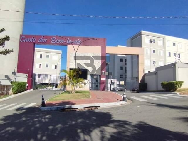 #804 - Apartamento Pronto para Morar para Venda em Campinas - SP - 1