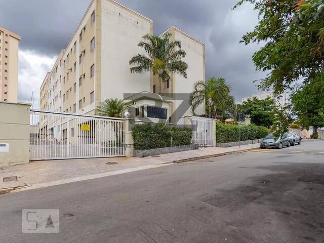 #826 - Apartamento Pronto para Morar para Venda em Campinas - SP - 1