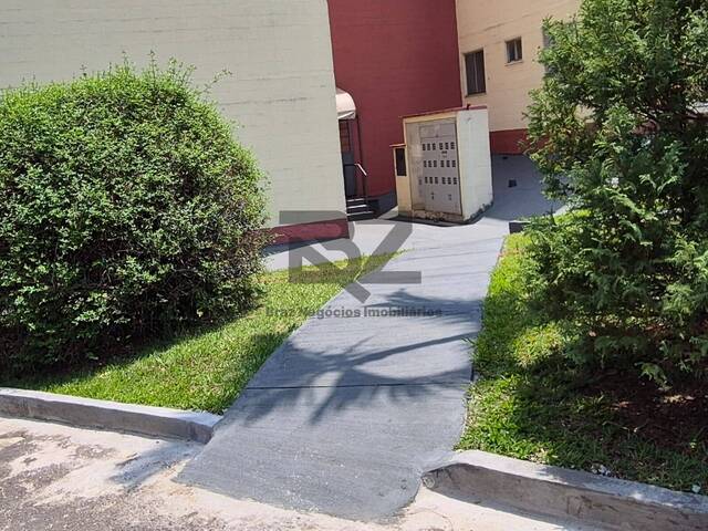 Apartamento Pronto para Morar para Venda em Campinas - 5