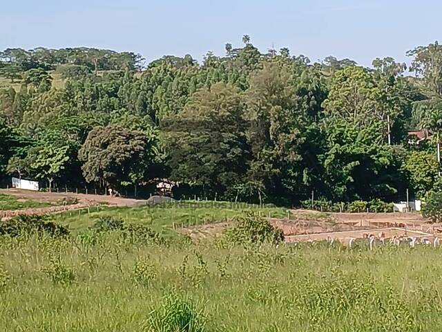 #985 - Área para Venda em Vargem Grande do Sul - SP - 2