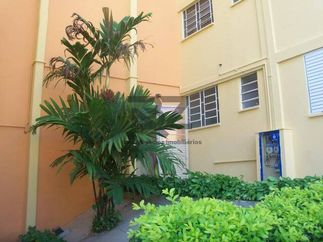 #993 - Apartamento Pronto para Morar para Venda em Campinas - SP - 3