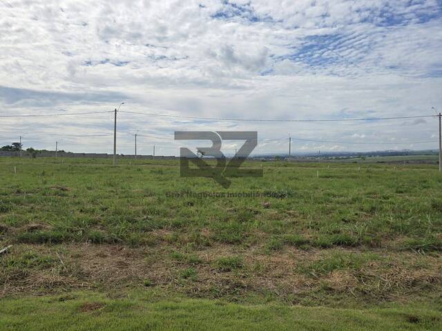 #1028 - Área para Venda em Paulínia - SP - 1