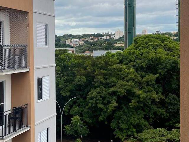 #1078 - Apartamento Pronto para Morar para Venda em Campinas - SP - 3