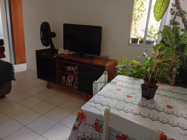 Apartamento Pronto para Morar para Venda em Campinas - 5