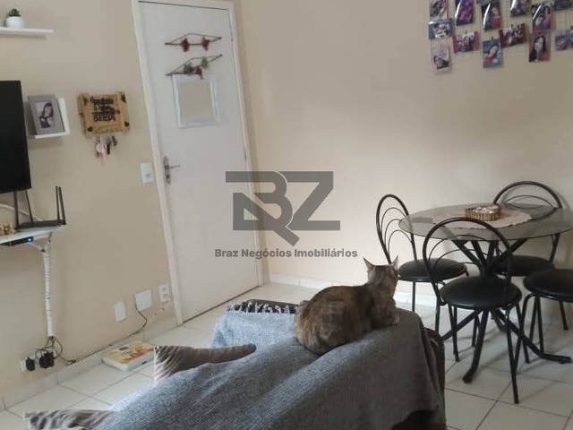 Apartamento Pronto para Morar para Venda em Campinas - 3