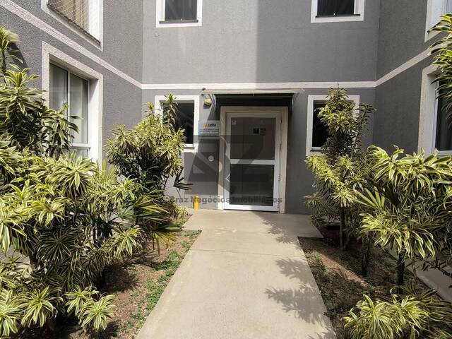 Apartamento Pronto para Morar para Venda em Campinas - 3