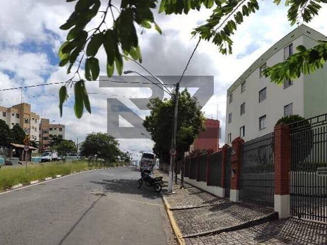 #1171 - Apartamento Pronto para Morar para Venda em Campinas - SP - 3